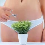 Логотип @pussy_bush - pussy bush 🔞