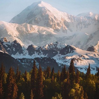 Логотип @puteshestvie1 - Путешествия ❄️🎄