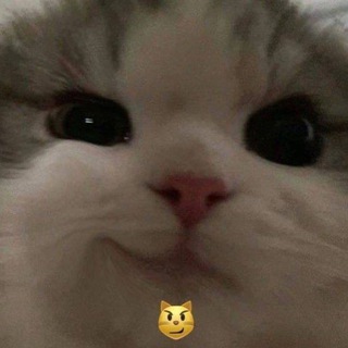 Логотип @puteshestviya_amerika - Путешествия. Америка