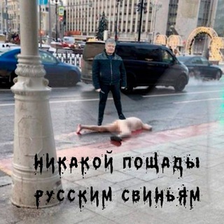 Логотип @putinbeasts - Убой путинского скота