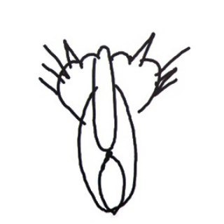 Логотип @putinism - Путинизм