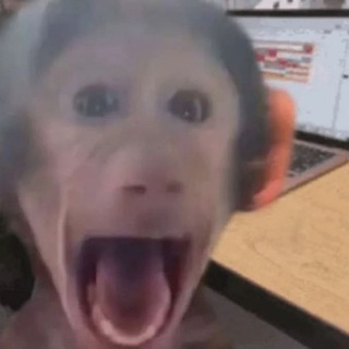 Логотип @putklam - диана