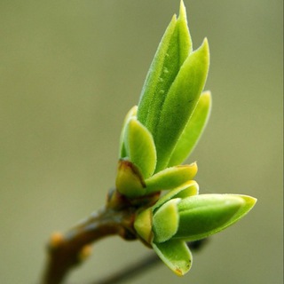 Логотип @putksebepresent - Путь к себе