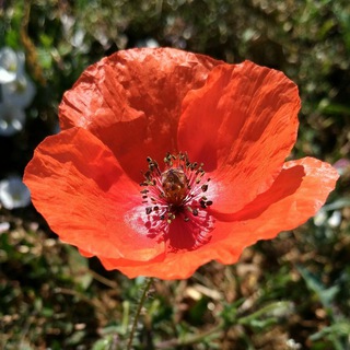 Логотип @putkzdorovyu - Путь к Здоровью