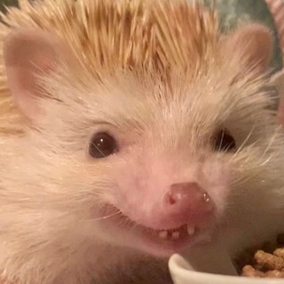 Логотип @puziblinchik69 - Puziblinchik