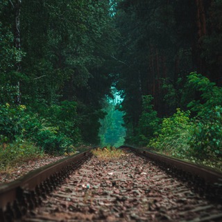 Логотип @pvimgchat - чат фоток