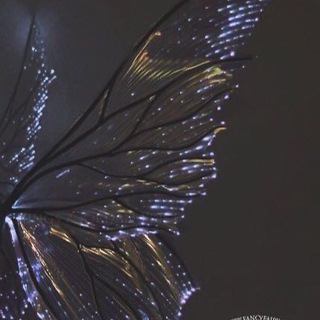 Логотип @pvmd_5 - ♡что-то на фееричном♡