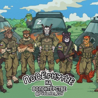 Логотип @pvolonter_zov - Повёрнутые на Волонтёрстве