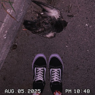 Логотип @pvrubunker - Пыльный bunker