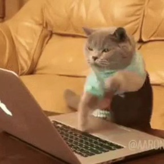 Логотип @pwgoodyt - Смешные комментарии под роликами Пугода