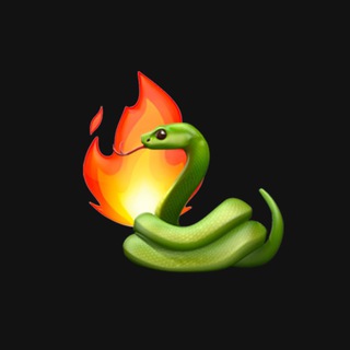 Логотип @pycodecamp - PythonCamp