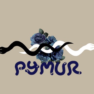 Логотип @pymur - PyMur