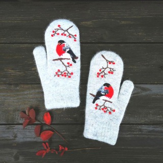 Логотип @pyrhula - ❄ Pyrrhula Pyrrhula