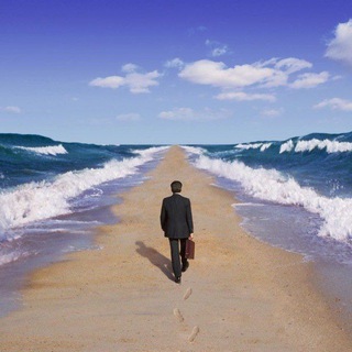 Логотип @pyt_kmillon - ПУТЬ ТРЕЙДЕРА