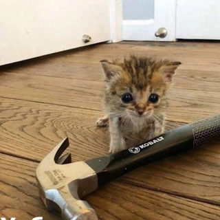 Логотип @python_web3 - Прогаю крипту