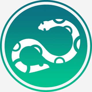 Логотип @pythontalk_ru - PythonTalk | Всё о Python