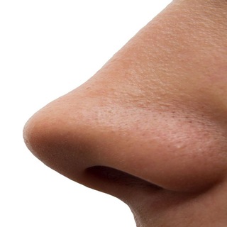 Логотип @pytstvo - Любопытство