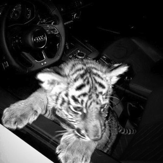 Логотип @pz_ram - пожалуйста