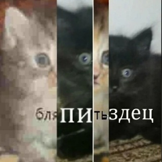 Логотип @pzdttc_strochnik - пиздец