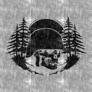 Логотип @pzn_news - Проект «Партизан»