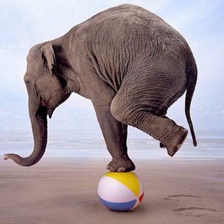 Логотип @qa_load - QA — Load & Performance