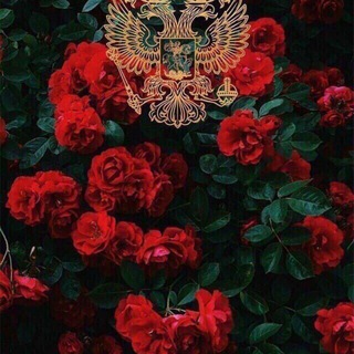 Логотип @qadirdonim_oo1 - Бродяги