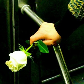Логотип @qadirdonlarim25 - 🌹 Yųɾaɠɩmɖaىaŋ ىҽѵɠɩɭɩm 🌹
