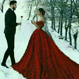 Логотип @qadirdonlarmiz001 - QaDrDoNlaR😘