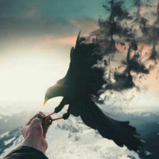 Логотип @qadrdonlargrou - ꧁🅈🄰🄽🄶🄸 🄷🄰🅈🄾🅃 🅁🄰🄳🄽🄾🅈 🄳🄾'🅂🅃🄻🄰🅁꧂