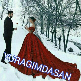 Логотип @qalbimdasan_navoiychat - YURAGIMDASAN