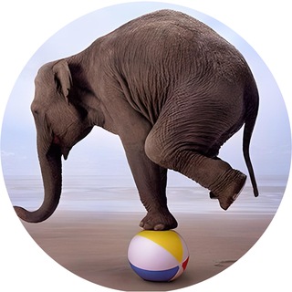 Логотип @qaload_job - 📢 QA — Load (job)