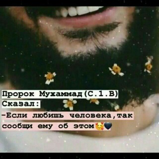 Логотип @qardash_0606 - 🖤❤🖤♡CHOCOLATE♡🖤❤🖤