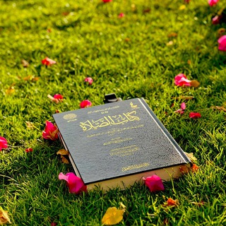 Логотип @qassimskiy - Qassimskiy