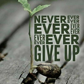 Логотип @qflyhqldtheline - Qfly HQld the line 🎺