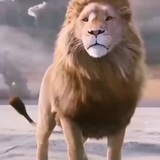 Логотип @qfsqwantum - Qfs Die weißen Hüte