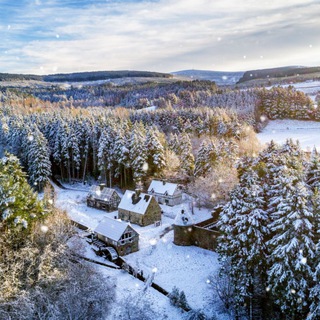 Логотип @qishertagi0208 - ☃️🎄🎆 QISH ERTAGI✨🎄☃️