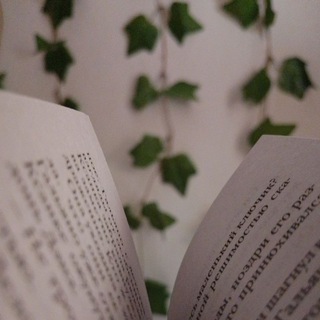 Логотип @ql0p71 - Nara and Books💋