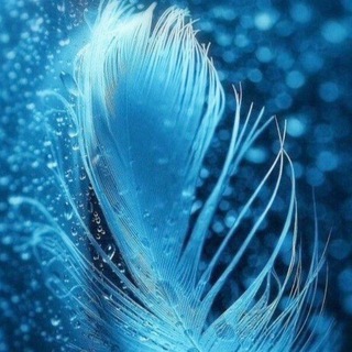 Логотип @qllisa_dream - Мастерская снов✨️