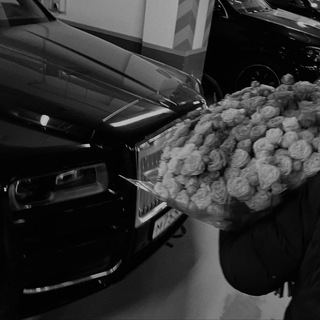 Логотип @qodirovx24 - qodirov