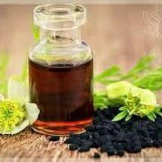 Логотип @qora_sedana - QORA SEDANA