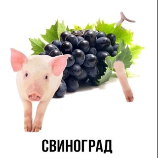 Логотип @qqstandof - QQ |Раздача Скинов с накл🎃