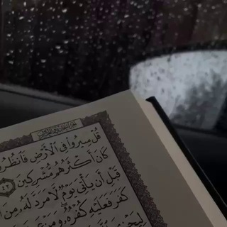 Логотип @qrecs - Quran Records