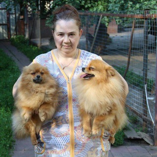 Логотип @qsiz7nn31qc3otmy - Питомник шпицев Удельная слобода