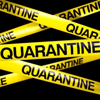 Логотип @quarantinelive - КАРАНТИН.LIVE