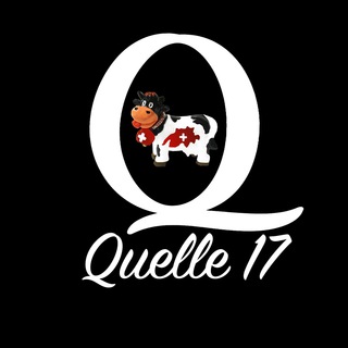Логотип @quelle_17_schweiz - Quelle17 Schweiz🇨🇭