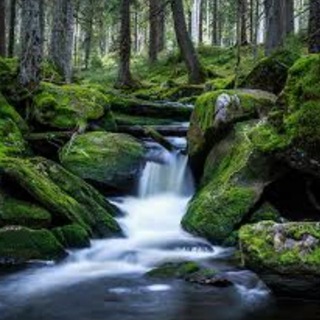 Логотип @quelledergesundheit - 🔆 Quelle der Gesundheit 🔆