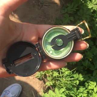 Логотип @questology - Квестология с Животаровой Ольгой