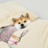 Логотип @quit_uni - Спільнота 🇺🇦