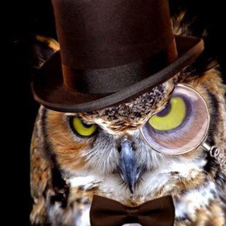 Логотип @quizer_group - Викторина