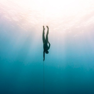 Логотип @quoisetanitim - Quoise Tanıtım